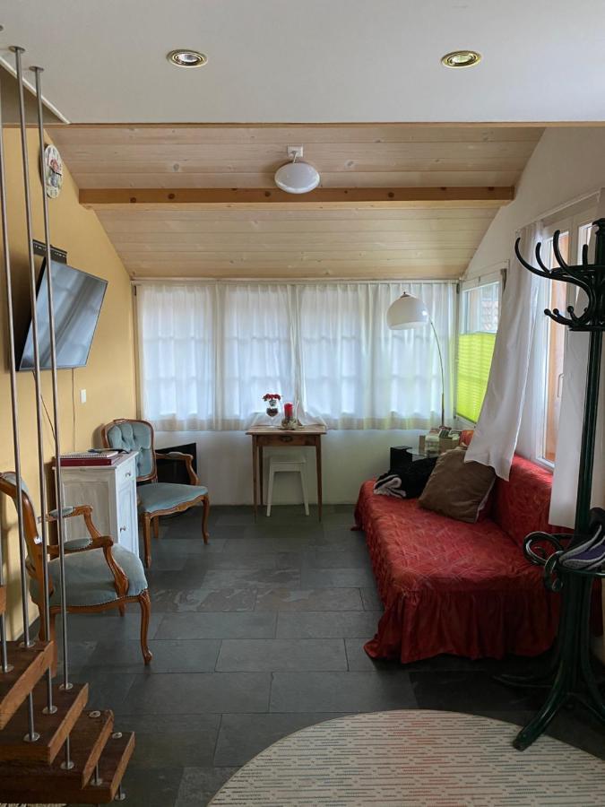 Dorner Rustic Chalet Gsteigwiler Exterior foto